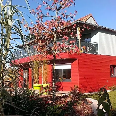 Homgaia D'hotes